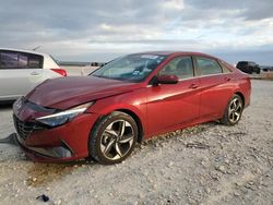 Salvage cars for sale at Taylor, TX auction: 2023 Hyundai Elantra Limited