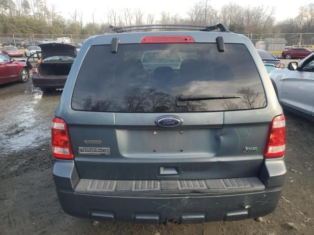 2010 Ford Escape XLT