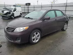 Toyota salvage cars for sale: 2013 Toyota Corolla Base