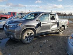 Salvage cars for sale at Indianapolis, IN auction: 2017 Honda Ridgeline RTL