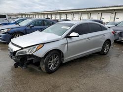 2017 Hyundai Sonata SE en venta en Louisville, KY