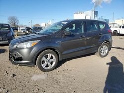 Salvage cars for sale at Dyer, IN auction: 2015 Ford Escape S