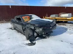 Salvage cars for sale at Woodhaven, MI auction: 2015 Chevrolet Camaro LT