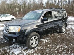 Clean Title Cars for sale at auction: 2009 Honda Pilot EXL