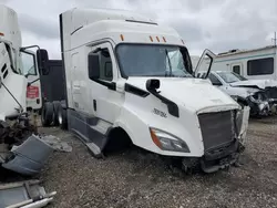 Freightliner salvage cars for sale: 2020 Freightliner Cascadia 116