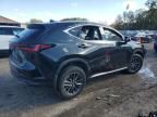 2024 Lexus NX 250 Premium