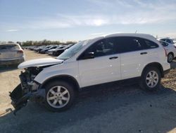 Salvage cars for sale at New Braunfels, TX auction: 2011 Honda CR-V SE