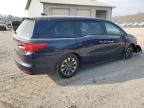 2024 Honda Odyssey EXL