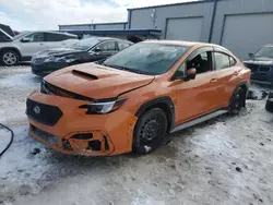 Salvage cars for sale at Wayland, MI auction: 2023 Subaru WRX Premium