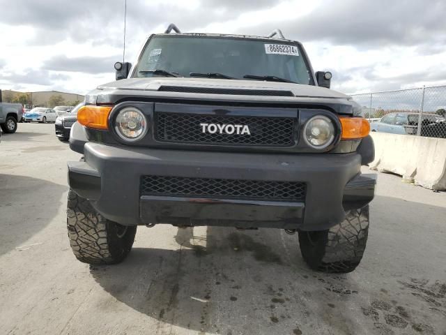 2010 Toyota FJ Cruiser