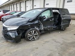 Salvage cars for sale at Louisville, KY auction: 2023 Honda Odyssey Touring