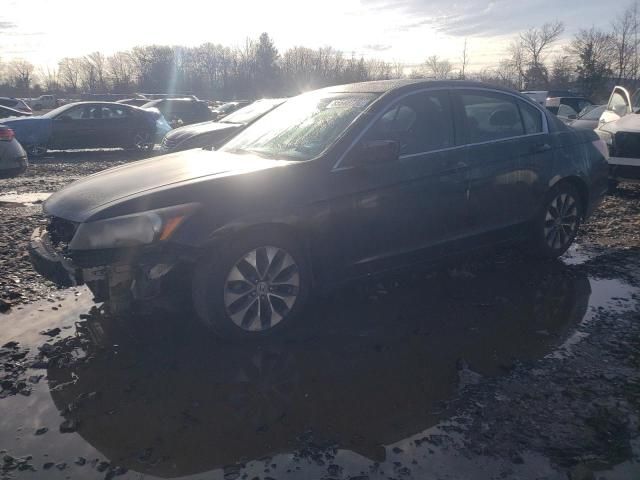 2010 Honda Accord EXL