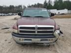 2001 Dodge RAM 1500