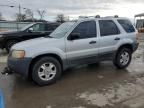 2003 Ford Escape XLT