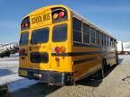 2019 Blzs 2019 Blue Bird School Bus / Transit Bus