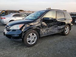 Salvage cars for sale from Copart Antelope, CA: 2010 Honda CR-V EXL