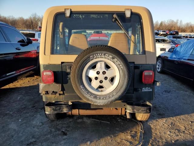 1993 Jeep Wrangler / YJ