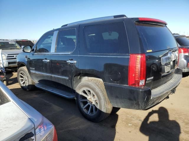 2010 Cadillac Escalade Luxury