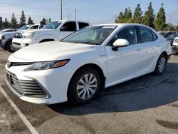 Salvage cars for sale at Rancho Cucamonga, CA auction: 2021 Toyota Camry LE