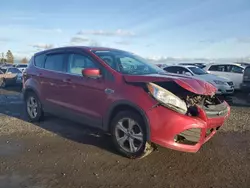 Salvage cars for sale from Copart Eugene, OR: 2013 Ford Escape SE