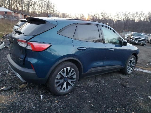 2020 Ford Escape SE Sport