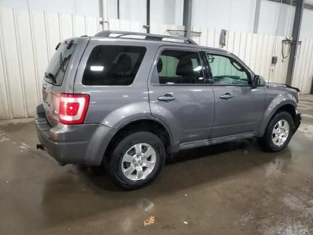 2011 Ford Escape Limited