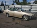 2004 Lexus ES 330