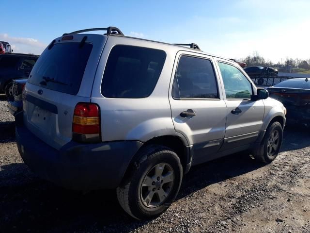 2005 Ford Escape XLT