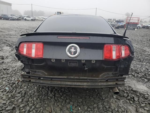 2010 Ford Mustang