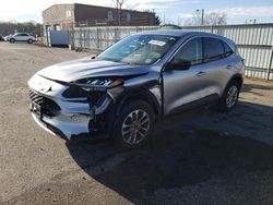 Salvage cars for sale from Copart Glassboro, NJ: 2022 Ford Escape SE