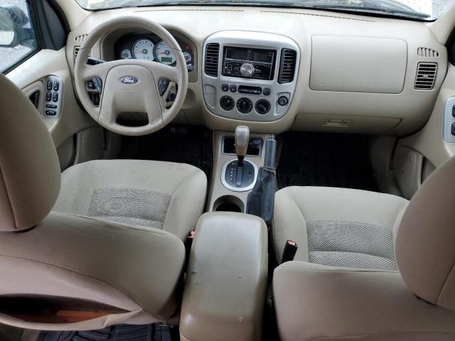 2006 Ford Escape XLT