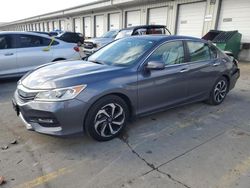 Honda Accord ex salvage cars for sale: 2016 Honda Accord EX