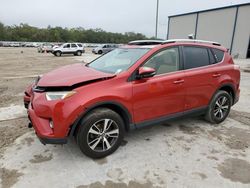 Salvage cars for sale at Apopka, FL auction: 2016 Toyota Rav4 XLE