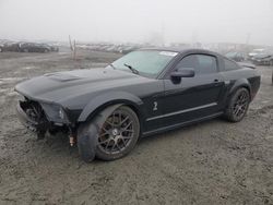 Salvage cars for sale at Eugene, OR auction: 2008 Ford Mustang Shelby GT500