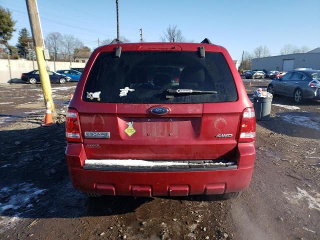 2008 Ford Escape XLT