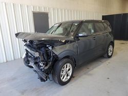 Salvage cars for sale at auction: 2024 KIA Soul LX