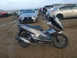 Honda salvage cars for sale: 2019 Honda WW150 A