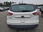 2014 Ford Escape S