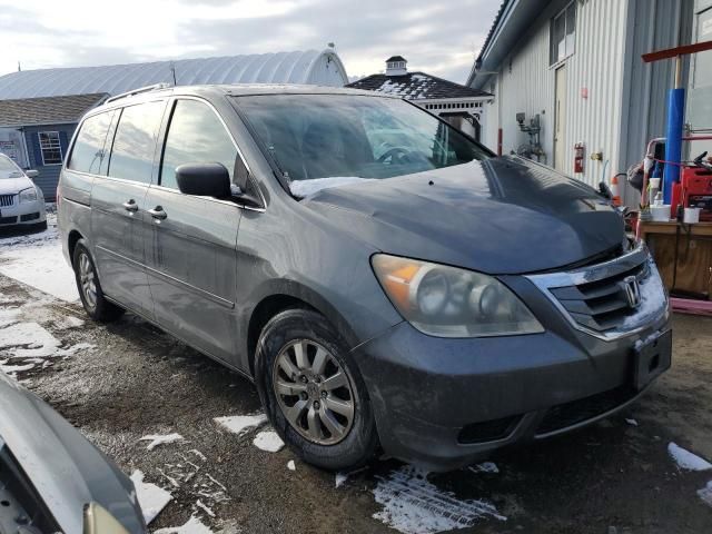 2010 Honda Odyssey EXL