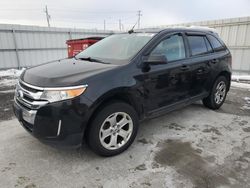 Salvage cars for sale from Copart Ontario Auction, ON: 2012 Ford Edge SEL