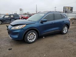 Salvage cars for sale at Chicago Heights, IL auction: 2020 Ford Escape SE