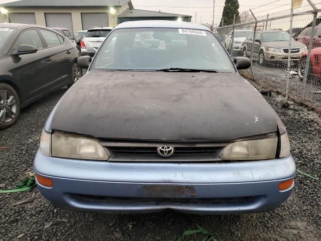 1995 Toyota Corolla Base