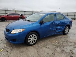 Salvage cars for sale at Walton, KY auction: 2010 Toyota Corolla Base