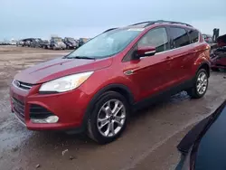 2013 Ford Escape SEL en venta en Elgin, IL