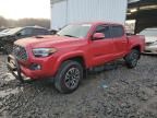 2023 Toyota Tacoma Double Cab