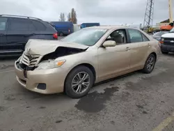 Salvage cars for sale from Copart Hayward, CA: 2010 Toyota Camry Base