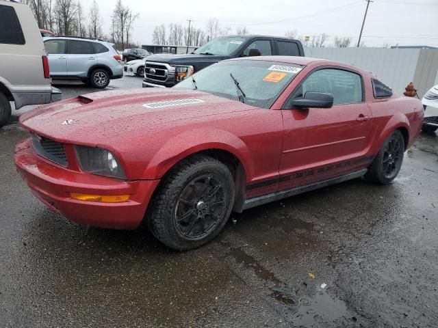 2005 Ford Mustang