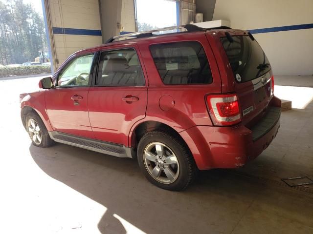 2011 Ford Escape Limited