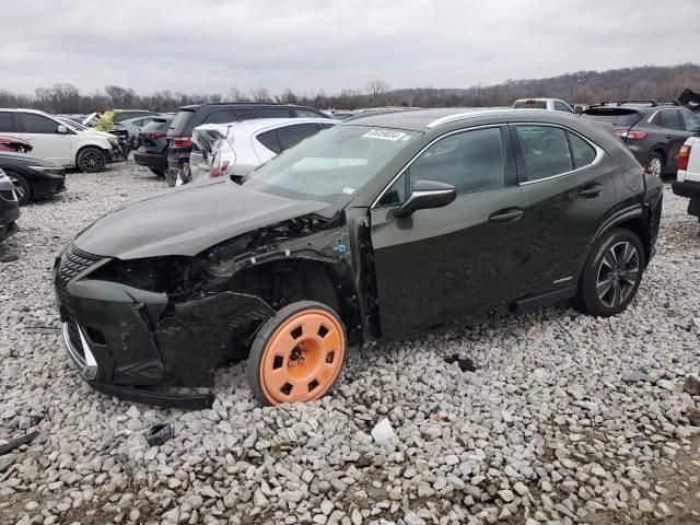 2019 Lexus UX 250H