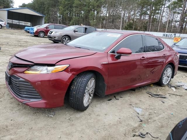 2019 Toyota Camry Hybrid